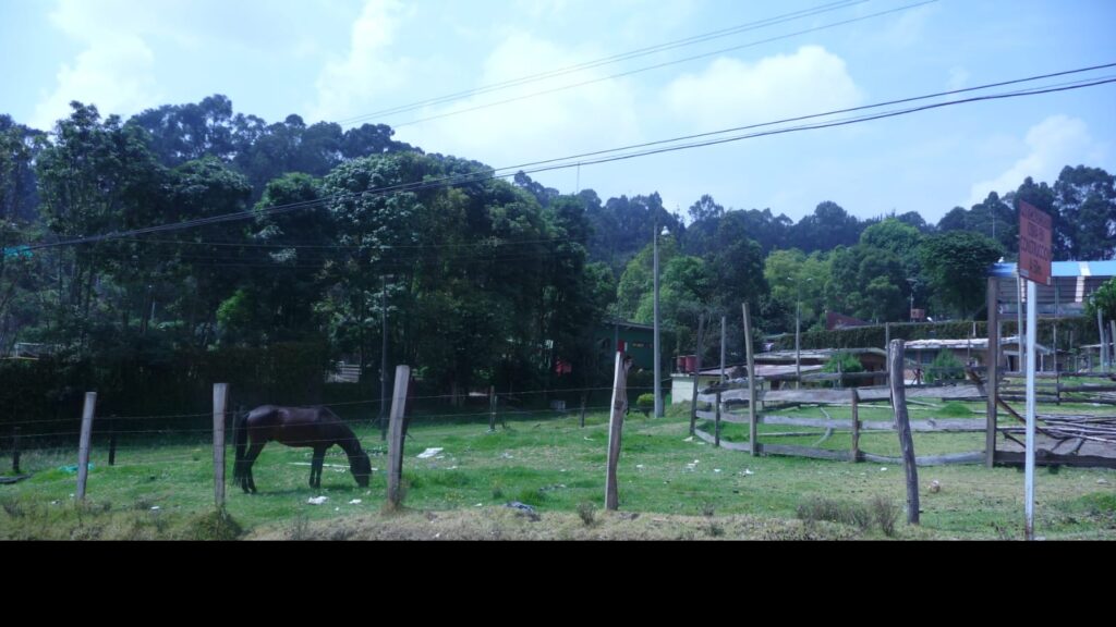 WhatsApp Image 2025-05-21 at 9.29.10 AM (1)