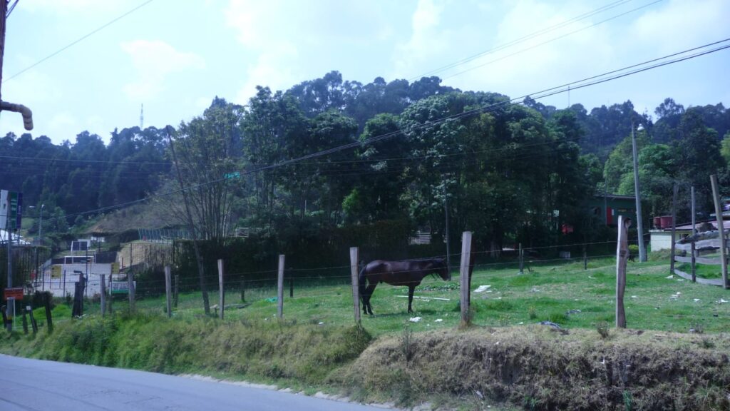 WhatsApp Image 2025-05-21 at 9.29.10 AM (2)