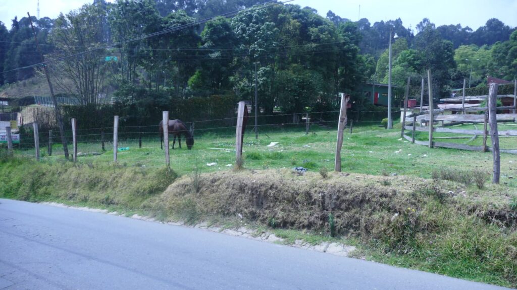 WhatsApp Image 2025-05-21 at 9.29.26 AM